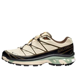 SALOMON x SNS XT-6 Gore-Tex ”Almond Milk Seagrass”