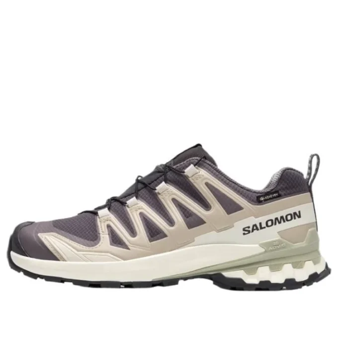 Salomon XA PRO 3D V9 GTX ”Dark Grey Beige”