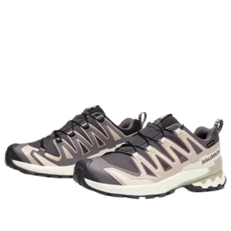 Salomon XA PRO 3D V9 GTX ”Dark Grey Beige”