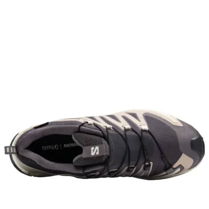 Salomon XA PRO 3D V9 GTX ”Dark Grey Beige”