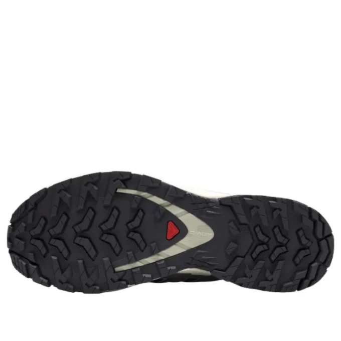Salomon XA PRO 3D V9 GTX ”Dark Grey Beige”