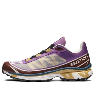 Salomon XT-6 Ft ”Grey Purple Brown”
