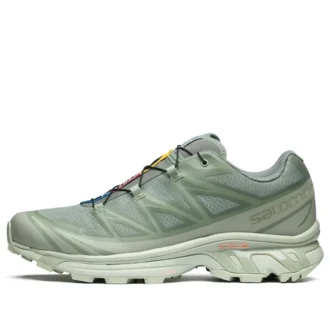 XT-6 Gore-Tex ”Desert Sage Lily Pad”